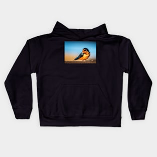 Barn Swallow on a Rail Kids Hoodie